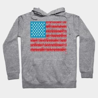 USA Hoodie